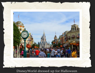 DisneyWorld dressed up for Halloween