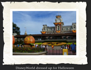 DisneyWorld dressed up for Halloween