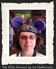 My Wife dressed up for Halloween