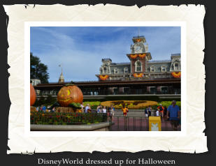 DisneyWorld dressed up for Halloween