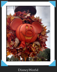 DisneyWorld